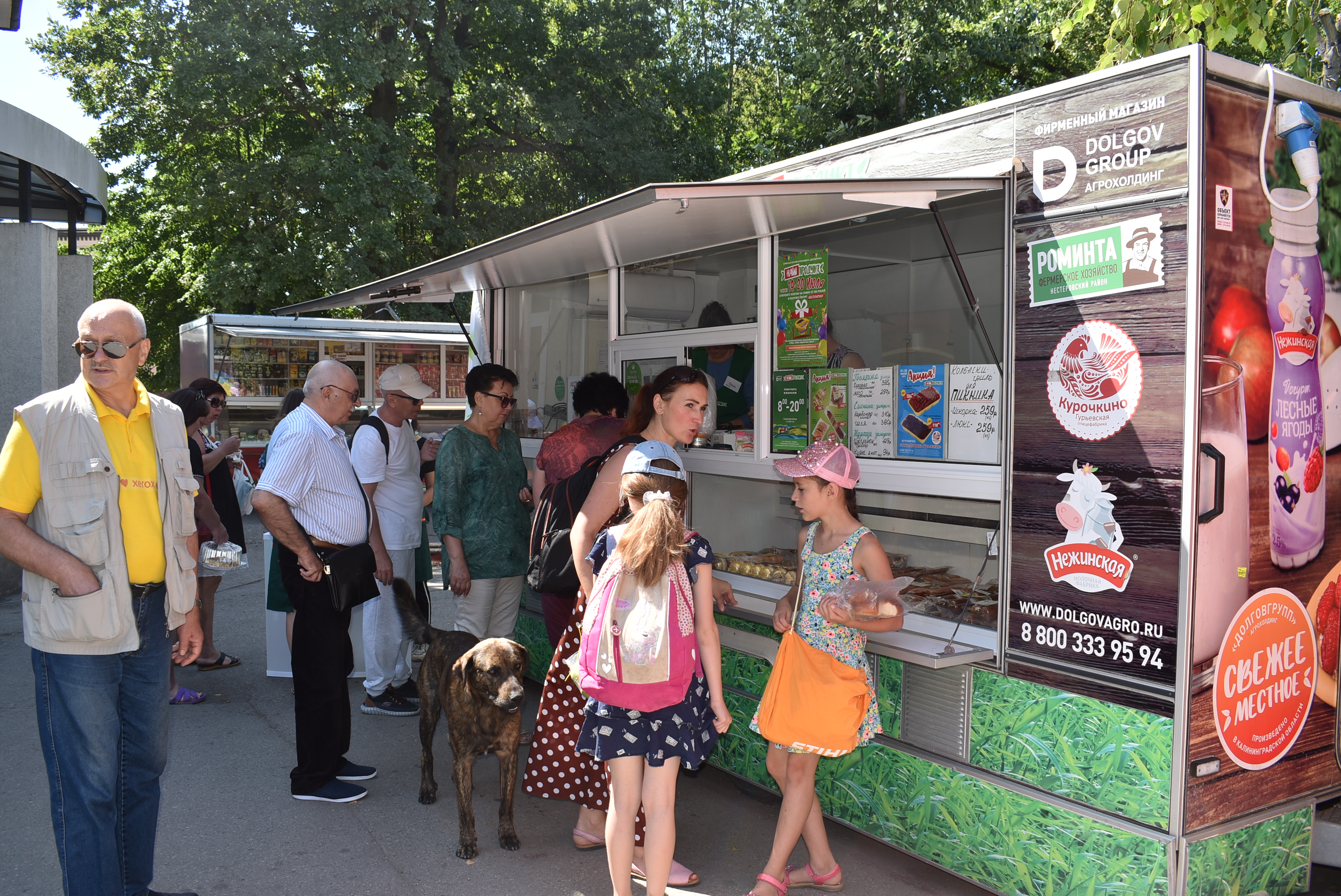 Корова Нежинская добралась до побережья