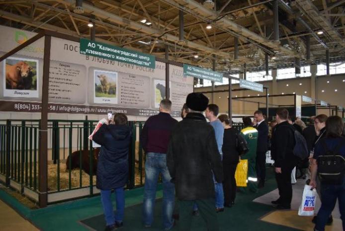 BREEDING ANIMALS OF THE HOLDING COMPANY ARRIVED AT THE INTERNATIONAL EXHIBITION