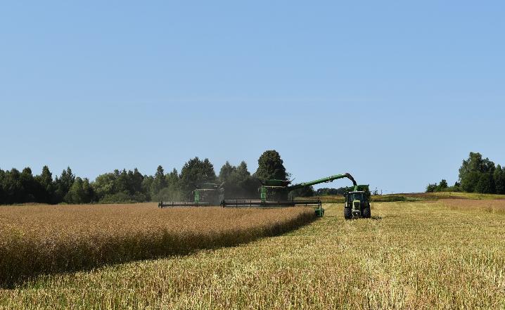 HARVEST CAMPAIGN IS IN FULL IN DOLGOVGROUP AGROHOLDING