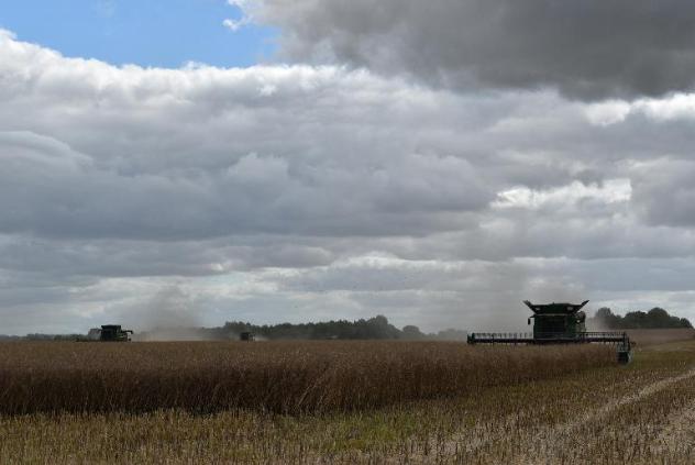  A CLEANING CAMPAIGN STARTED IN THE AGRICULTURAL GROUP DOLGOVGROUP